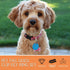 18 Pieces Dog Tag Clip Pet ID Quick Clip Combos with Rings, Stainless Steel Holder for Dog Cat (1.9 Inch, 1.3 Inch, 0.8