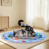 Cat Water Mat with LED Light, Multi-Color Lighted Cat Play Mat, Interactive Cat Toy, Anti-Scratch Design Pet Water Mat