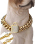 Gold Dog Chain Collar - Stainless Steel with Zirconia Lock, Heavy Duty Cuban Chain for Small Medium Large Dogs (14mm