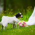 QBLEEV Dog Dress Tutu Skirt for Large Dogs, Sweet White Princess Dresses with Bowknot and Rose Decor, L