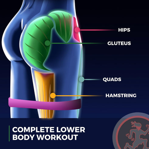 Rubberbanditz Extra Thick Booty Bands - Mini Loop Exercise Band Set for Glutes and Legs