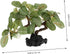 BESTOYARD Fish Tank Landscaping Water Plants Fish Tank Plants Aquarium Decorations Reptile Tank Silk Tree Silk Aquarium Plants Plastic Fish Bowl Aquarium Decors Fake Bonsai Office Animal by BESTOYARD