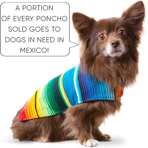 Handmade Dog Poncho from Authentic Mexican Blanket by Baja Ponchos - Blue, Large