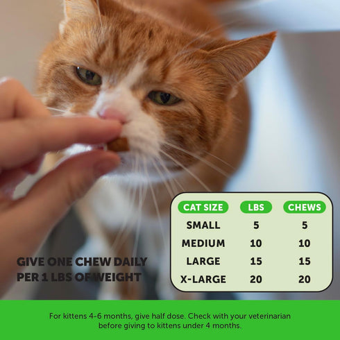 Immune Immunity, 30-Day Cat Probiotics Gut + Health Chews Crunchy & Creamy Cat Treats for Digestive Health, Gut Flora