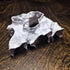 Genrico Shrimp Cave Stable Shelter with Realistic Design and Decoration, Fish Tank Hideouts For Feeding, Hideaway