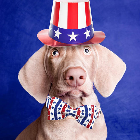 Elegant Little Tail Independence Day Dog Collar, American Flag Bowtie for 4th of July, Adjustable Soft Puppy Collar