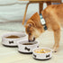 Sweejar Ceramic Dog Bowls with Bone Pattern, 16 Fl Oz Porcelain Pet Bowl for Small Dogs, Fog Blue