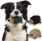 Plush Hedgehog Dog Toys 3 PCS - Squeaky Stuffless Hedgehog for Small and Medium Dogs, Interactive Pet Toys