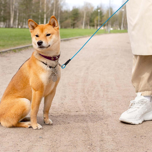 Chew Proof Dog Leash, 6FT Heavy Duty Metal Cable Leads, Chew Resistant Coated Wire Rope Leash for Large Medium Dogs