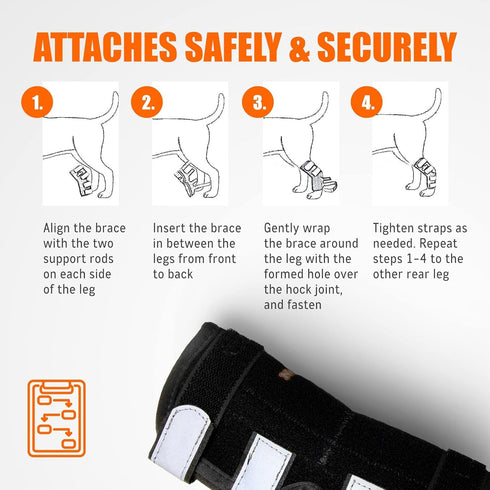 NeoAlly Rear Leg Hock Brace for Large Dogs, Metal Spring Strips for Hock & Ankle Support, Medium Size