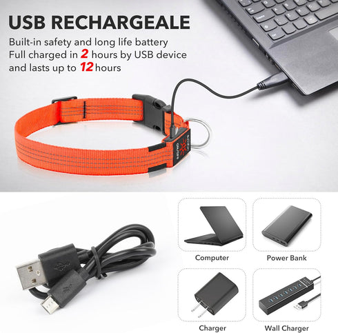 Illumifun LED Dog Collar - USB Rechargeable Light Up Reflective Pet Safety Collar (Orange?, Medium)