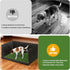 Bhyhok 15.7 23.6 35.4 Inch High Walls Dog Pee Pad Holder with Artificial Grass Foldable Indoor Dog Potty Tray * * Dogs