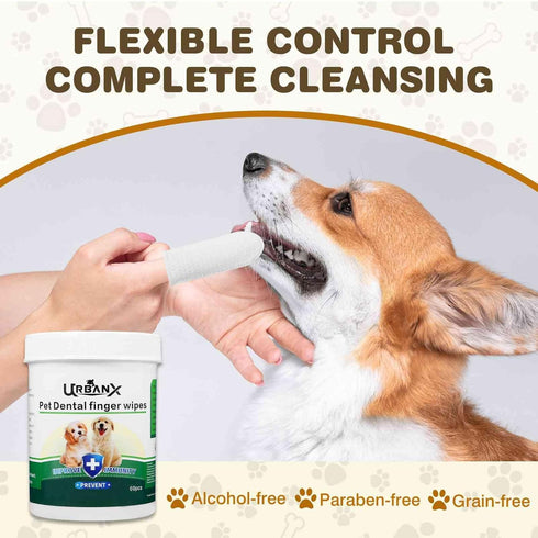 UrbanX Teeth Cleaning Wipes for Aussiedoodle and Mixed Breed Dogs, No-Rinse Disposable Finger Toothbrush, 60 Count