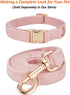 Corduroy Dog Leash - 5 Ft Length for Small Medium Large Dogs (Light Pink, Small)