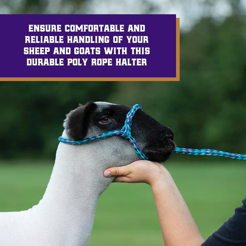 Weaver Livestock Poly Rope Sheep Halter, Adjustable Modern Style Braid for Sheep and Goat