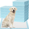 IMMCUTE Large Dog Pee Pads 28"x30"-30 Count | Large Puppy Pee Training