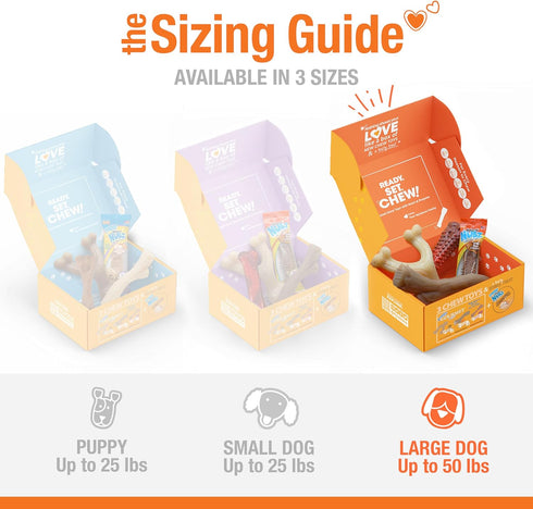 Nylabone Dog Toy Gift Box - Includes 3 Strong Chew Toys and 1 Dog Treat, Chew Toys for Large Dogs, Large/Giant (4 Count)