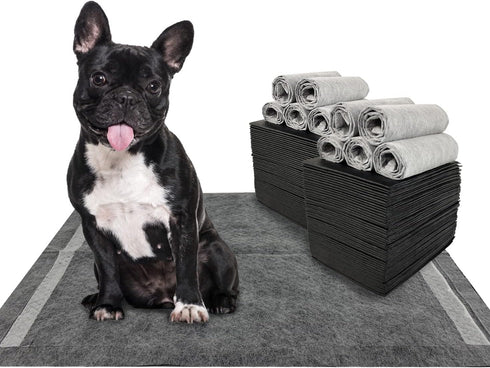 Dogcator Charcoal Dog Training Pads 100 Count, 22"x22" Puppy Pee Pads for