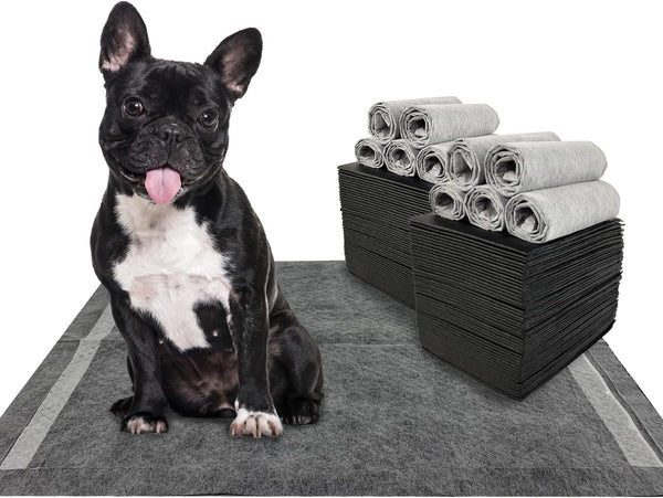 Dogcator Charcoal Dog Training Pads 100 Count, 22"x22" Puppy Pee Pads for