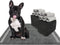Dogcator Charcoal Dog Training Pads 100 Count, 22"x22" Puppy Pee Pads for