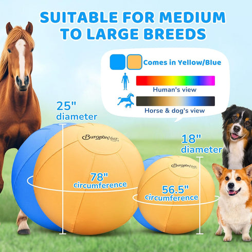 25'' BurgeonNest Herding Ball for Dogs, Herding Ball for Australian Shepherds, Cattle, Border Collies & Medium/Large