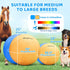 25'' BurgeonNest Herding Ball for Dogs, Herding Ball for Australian Shepherds, Cattle, Border Collies & Medium/Large