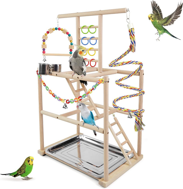 Bird Playground, Parrots Playstand for Small to Medium Birds, Perch Stand with