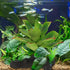FAVOMOTO Reptile Terrarium Plant Box with Fake Rose Greenery, Sturdy Aquarium Decor for Lizards, Spiders