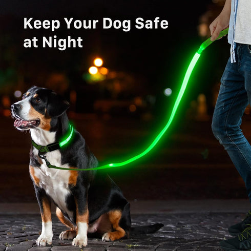 LED Light Up Dog Leash 3 Lighting Modes USB Rechargeable, High Visibility Up to 400 Yards Safety Glow in The Dark Dog Leash for Large Medium Small Pets