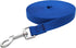 Nylon Training Dog Leash for Small Medium Large Dogs, 30ft Long Leash for Obedience Recall Training, Blue