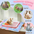 19 Set Pcs Rabbit Starter Kit Small Bunny Litter Box Rabbit Grooming Kit Water Bottle Bunny Toys Hay Feeder Bowl
