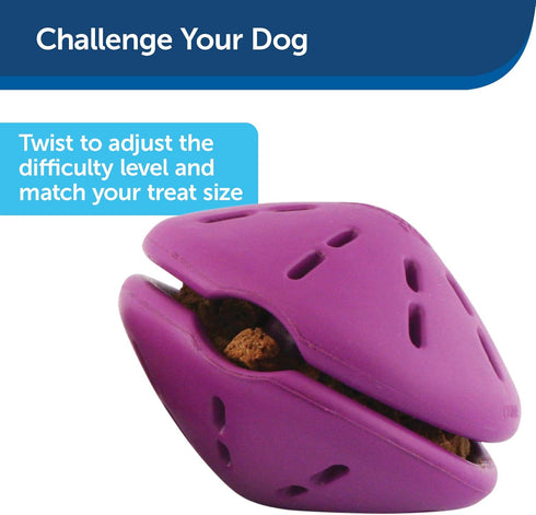 PetSafe Busy Buddy Twist 'n Treat Dog Toy for Medium and Large Breeds, Purple