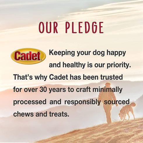 Cadet Duck Breast Gourmet Dog Treat with Exclusive Got Treats Paw Magnet, 2.5 Pound Value Pack