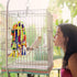 Rypet Large and Small Parrot Chewing Toys, Wooden Block Tearing Toys for Conures, Cockatiels, African Grey