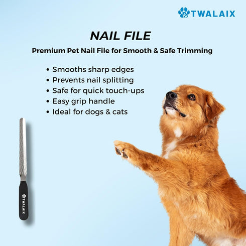 6 1 in Pet Grooming Kit for Dogs & Cats - Deshedding Brush, Undercoat Rake, Slicker Brush, Nail Clipper, Nail File
