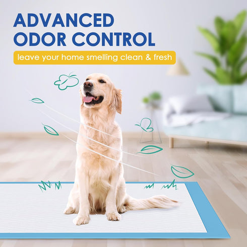 30"x36" 30 Pack 6 JollyMate Dog Pee Pads Extra Large, XX-Large Super Absorbent Pet Pee Pads with Adhesive Tabs, Layers