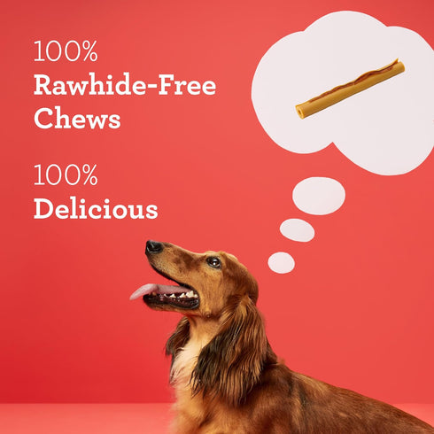 DreamBone DreamSticks with Real Bacon and Cheese Flavor, Rawhide Free Dog Chew Sticks, 15 Sticks