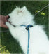 8 FT Slip Lead Dog Leash, 1/3” Strong Rope Dog Leash, Adjustable No-Pull Small Lead for Puppy, Small and Medium Pets