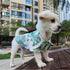 Dog Shirt Hawaiian Clothes, Leaf Printed Lapel Vest Summer Polo T-Shirt for Small Medium Dogs and Cats