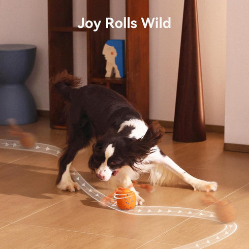 Cheerble Smart Interactive Dog Toy, Wicked Ball Rolly, Automatic Moving, Bouncing, Rotating, E-TPU Material, with Rope
