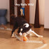Cheerble Smart Interactive Dog Toy, Wicked Ball Rolly, Automatic Moving, Bouncing, Rotating, E-TPU Material, with Rope