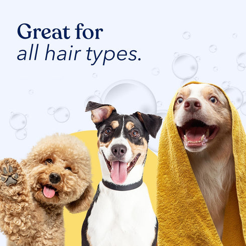 Honest Paws Dog Shampoo and Conditioner - Premium Wash for Allergies, Dry Itchy Skin, 16 Fl Oz