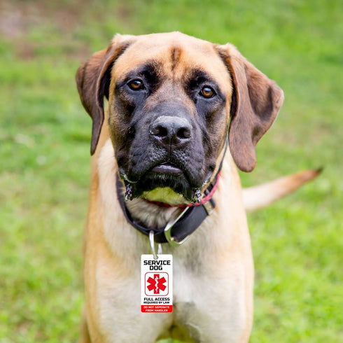 Just 4 Paws PVC PTSD Service Dogs Key or Collar Tag for ADA PTSD Service Animals (PT21)