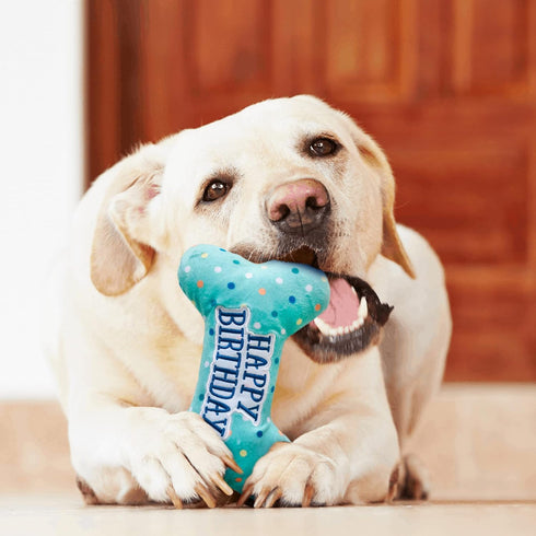 PrimePets Dog Birthday Toys, Plush Squeaky Toys, Birthday Party Supplies for Small, Medium, Large Dogs (Bone)