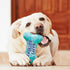 PrimePets Dog Birthday Toys, Plush Squeaky Toys, Birthday Party Supplies for Small, Medium, Large Dogs (Bone)