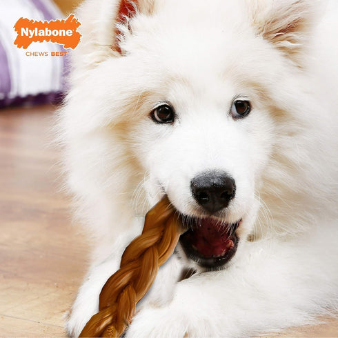 Nylabone 2 Pack of Power Chew Extreme Chewing Braided Bully Stick Alternative Dog Toys, Giant, Made in the USA