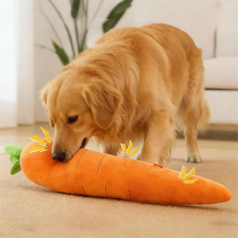 Generic (29.5inch) Giant Carrot Dog Toy, Puppy Teething Toy with Squeaker & Crinkle, Indoor Outdoor Play