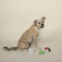 Fringe Studio Plush Dog Toy Set, SUSHIHOLIC, 3 Piece Set, for Small Dogs (289527)