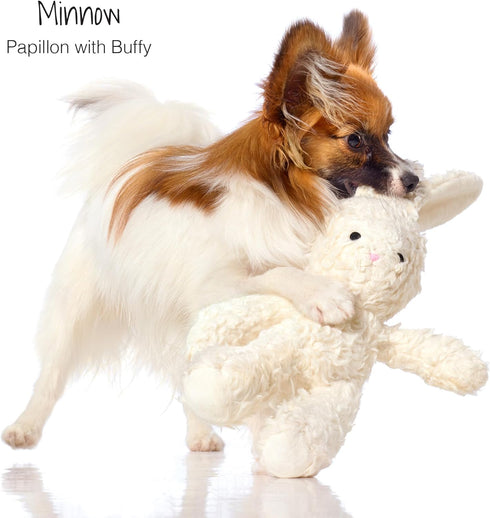 Pet Passion Durable Cotton Dog Toys with Coconut Fill - Bunny Design
