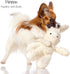 Pet Passion Durable Cotton Dog Toys with Coconut Fill - Bunny Design